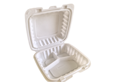 Mineral_Filled_Hinged_Container_10_HCP.83CW