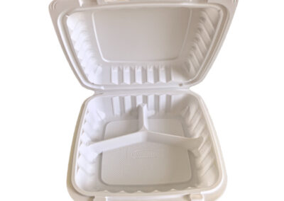 Mineral_Filled_Hinged_Container_17_HCP.93CW
