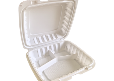 Mineral_Filled_Hinged_Container_18_HCP.93CW