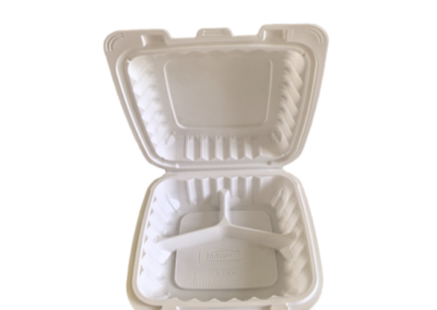 Mineral_Filled_Hinged_Container_9_HCP.83CW